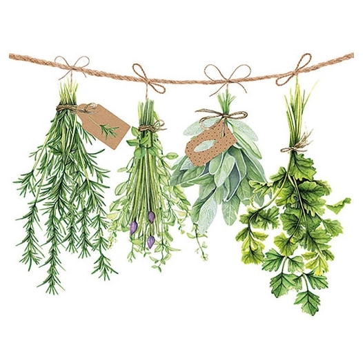 lot 20 serviettes en papier 33 x 33 cm - herbes aromatiques - ambiente