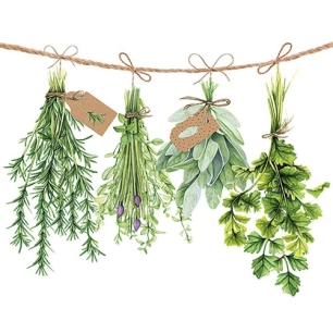 lot 20 serviettes en papier 33 x 33 cm - herbes aromatiques - ambiente