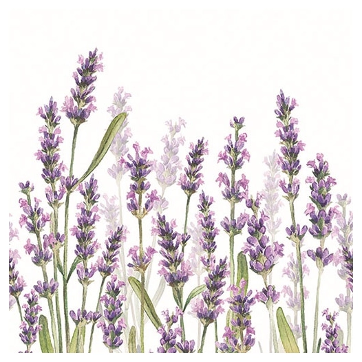 lot 20 serviettes en papier 33 x 33 cm - nuances de lavande - ambiente