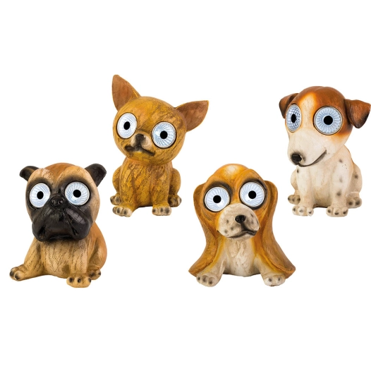 chien solaire, modèles assortis