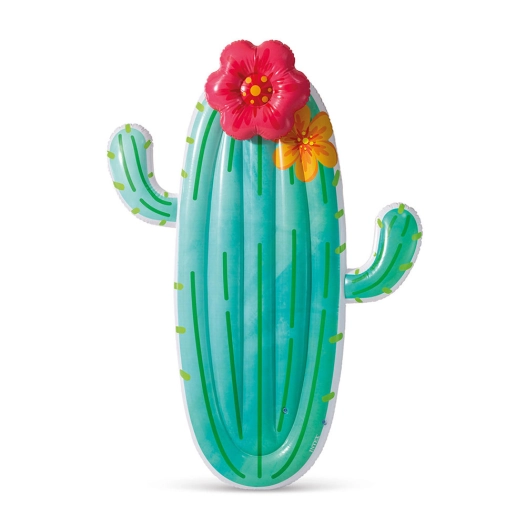 piscine gonflable cactus
