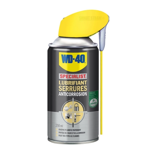 Lubrifiant serrures anti-corrosion pulvérisateur 250 ml - WD40