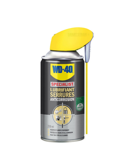 Lubrifiant serrures anti-corrosion pulvérisateur 250 ml - WD40