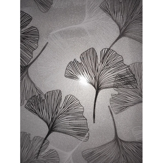 film vitro statique access deco art flore givre 45cmx20m - access deco