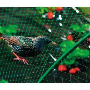 Filet de protection oiseaux - L. 1000 cm - l. 800 cm - Nortene