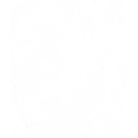 18.75 2214 - patent express 25x0.75m - decorama