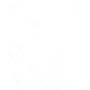 18.75 2214 - patent express 25x0.75m - decorama