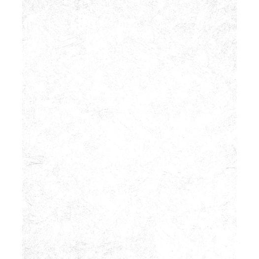 18.75 2216 - patent express 25x0.75m - decorama