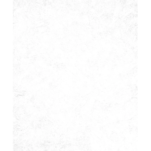 18.75 2216 - patent express 25x0.75m - decorama