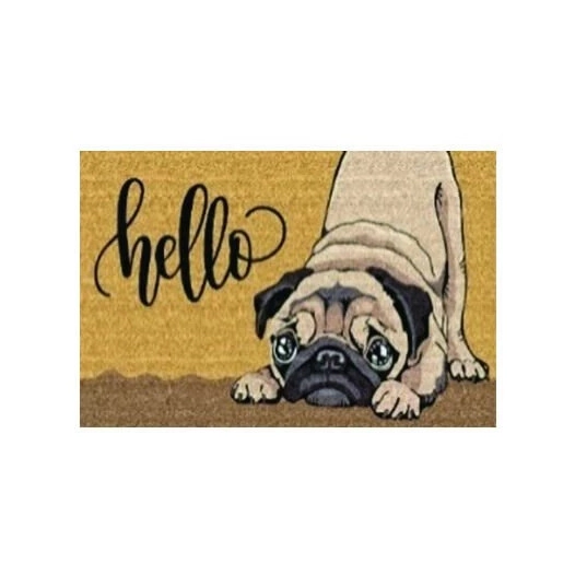 tapis brosse coco 15mm hello chien 40x60cm - intex-dehee