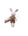 kit mon ami gurumi lapin - graine creative