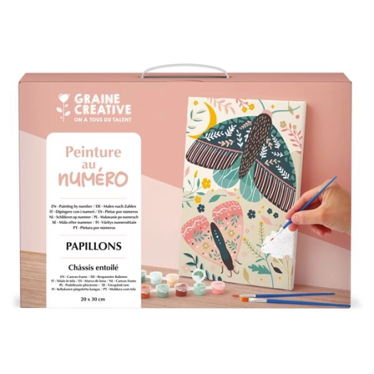 peinture au numero 20 x 30 papillons - graine creative