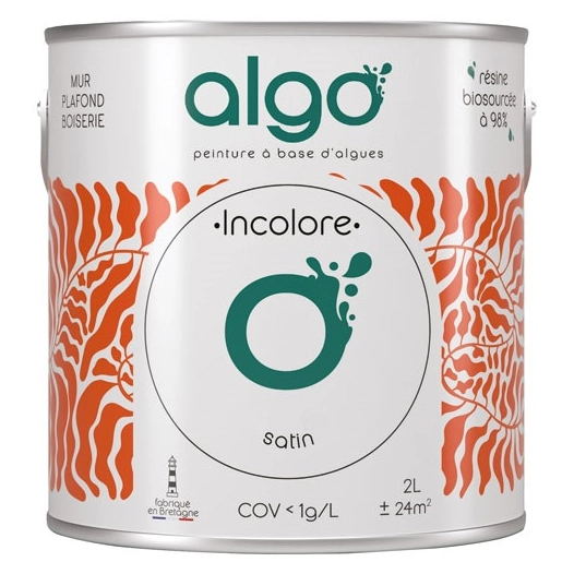 peinture ã©cologique base incolore 5 l satin - algo paint