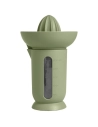 presse-agrumes/carafe - couleur vert forãšt - veca spa
