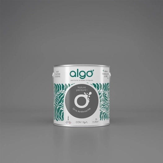 peinture ã©cologique - gris anthracite - satin - 5 l - algo paint ld