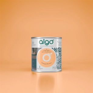peinture pour meuble - orange dã©licieux - mat - 0.5 l - algo paint ld