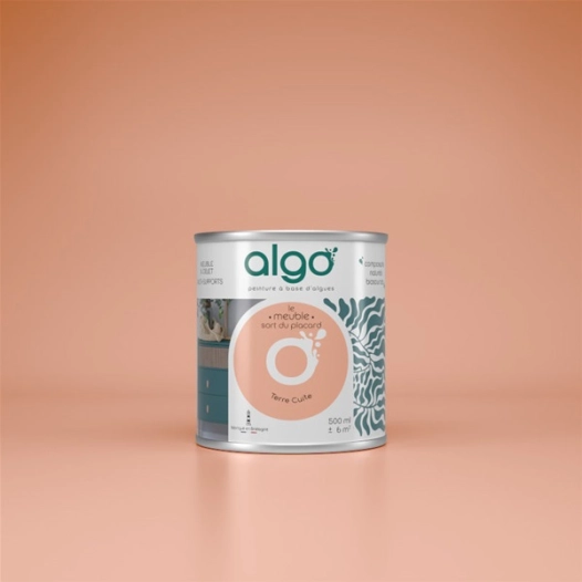 peinture pour meuble - terre cuite - 2 l - algo paint ld