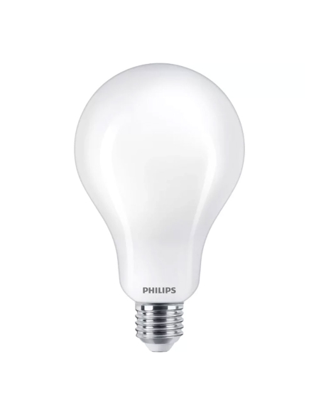 Ampoule LED E27 Philips 23W Éclairage puissant lumière du jour - Philips