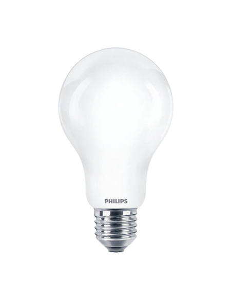 Ampoule LED E27 Philips 23W Éclairage puissant lumière froide - Philips