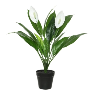 plante artificielle fleur de lune