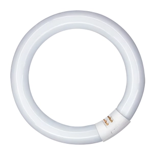tube fluorescent circulaire 20 w, g10q, lumière froide, ø210 mm