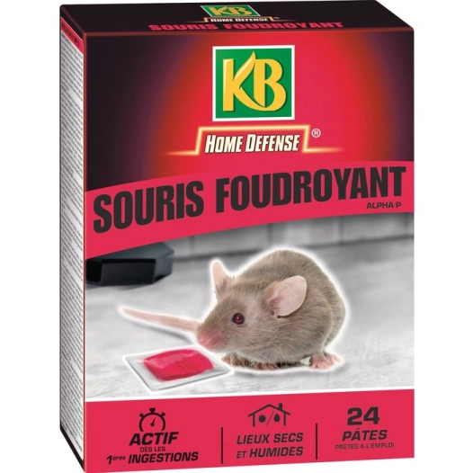 souris foudroyant pates 240g