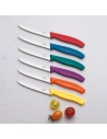 boite 6 couteaux tomate victorinox swissclassic 11cm assortis - beligne et fils sas