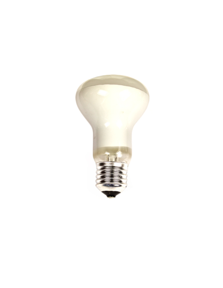 Ampoule Réflectrice R63 60W Chaleur et Focus Lumineux - CLAR ILUMINACIÓN