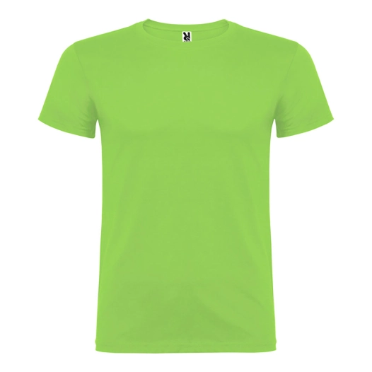 t-shirt oasis vert beagle t.l