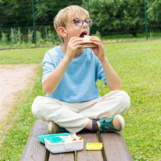 mb snacky - dino - monbento ld