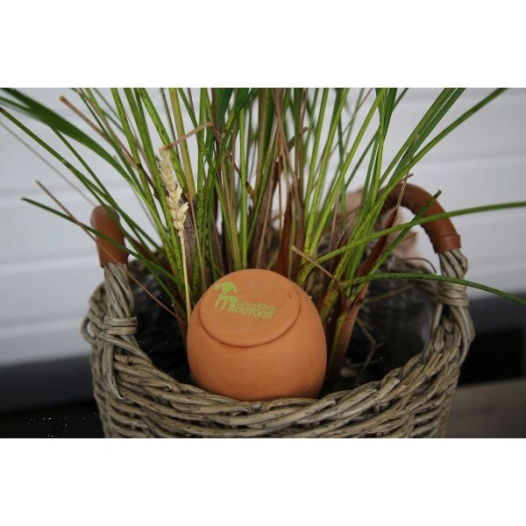 oya et perles de cã©ramique emâ®, la cã©r'oya 35cl naturel - la voie de la terre