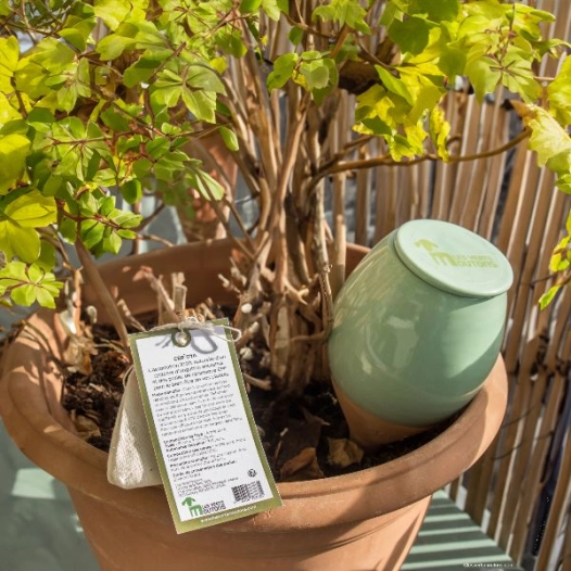 oya et perles de cã©ramique emâ®, la cã©r'oya 35cl vert - la voie de la terre