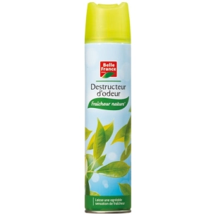 destructeur d'odeurs bf aã©rosol 300 ml - diapar distribution alimentaire parisienne
