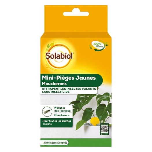 mini piã¨ges jaunes moucherons sans insecticide - sbm life science
