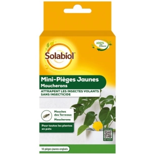 mini piã¨ges jaunes moucherons sans insecticide - sbm life science