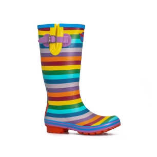 Botte RAINBOW pointure 36 - ROUCHETTE