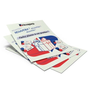 lot de 30 flyers a5 : carte cadeau bricopro