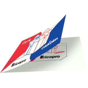 lot de 50 supportsa cartes cadeaux