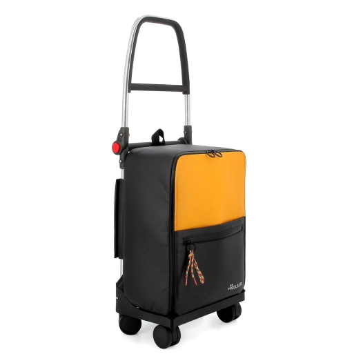 poussette de marché two gc t-shop 4 roues pivotantes 27l poussette de marché two gc t-shop 4 roues pivotantes 27l - rolser