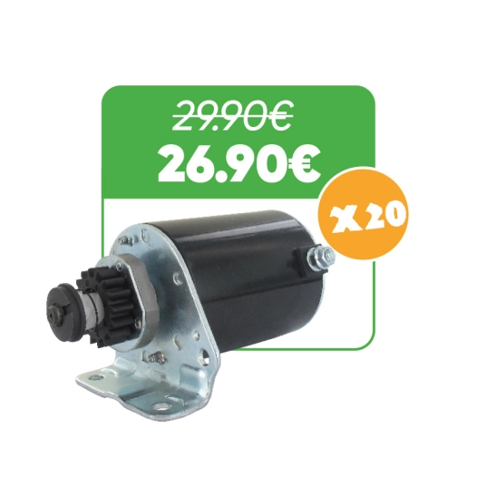lot de 20 démarreurs électrique adaptable pour briggs & stratton