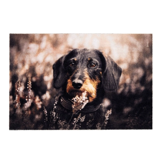 paillasson d'intérieur, deco print, 100% polyamide, motif chien, 40 x 60 cm