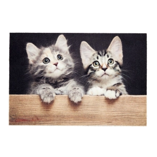 paillasson d'intérieur, deco print, 100% polyamide, motif chats, 40 x 60 cm