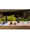 set de table enduit citrus recycle terracotta 33x48 - sde ld