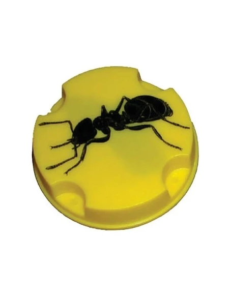 MASY Anti-fourmis_10g - MASY