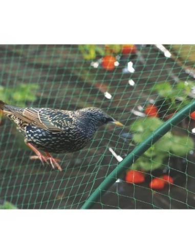 Filet de protection oiseaux birdnet 10 x 5