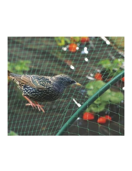 Filet de protection oiseaux birdnet 10 x 5