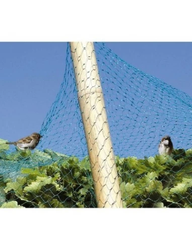 Filet vert anti-oiseaux bg 6 x 4