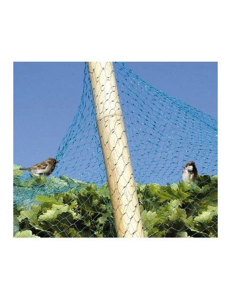 Filet vert anti-oiseaux bg 6 x 4
