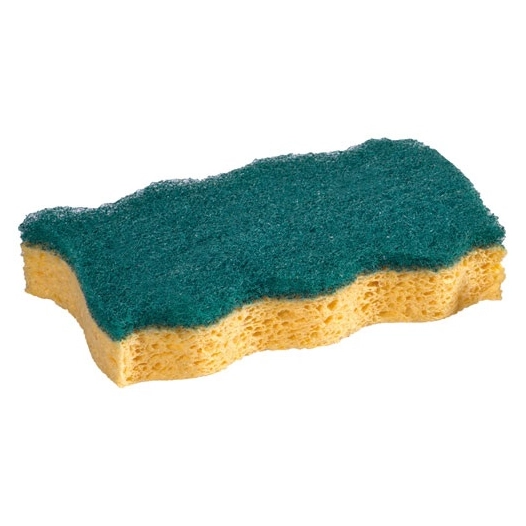 eponges hygiene x2 - fhp vileda