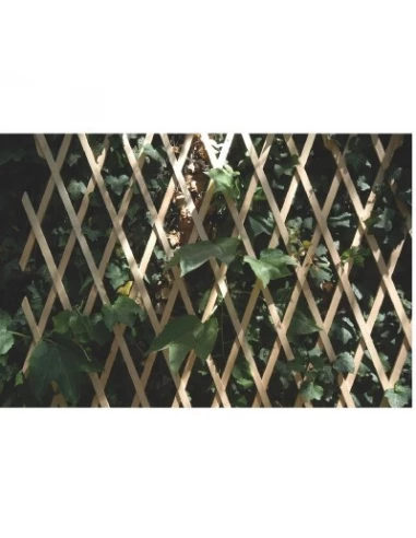 Treillis de décoration murale 1 x 2